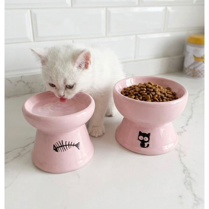 Comedouro Gato Cerâmica Elevado Para Pets 2 Peças Bebedouro Comedouro