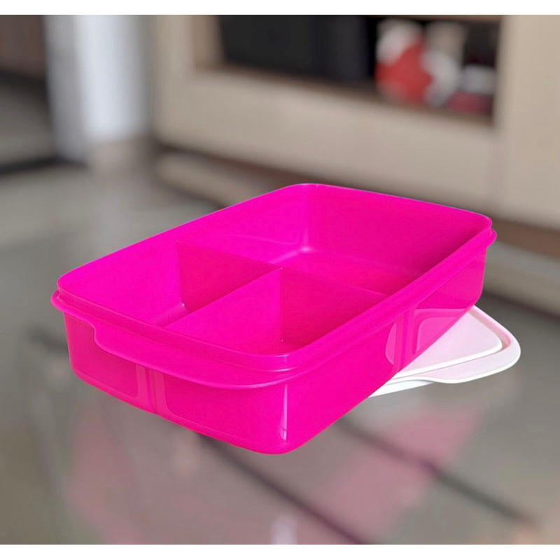 Tupperware Basic Line com Divisórias 1 litro