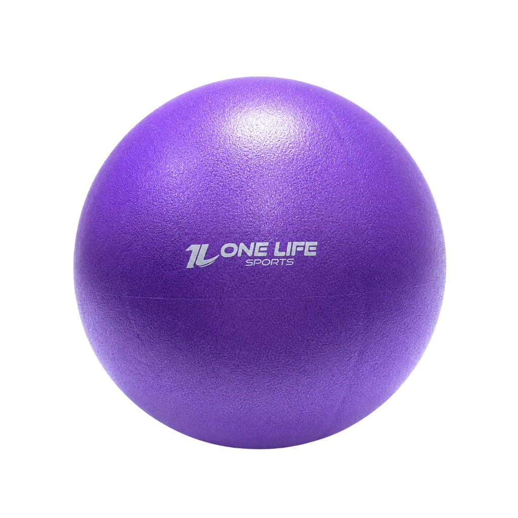 Overball Fitness Inflável 25cm Bola Pilates Fisioterapia Mobilidade Equilíbrio Alongamento Treino
