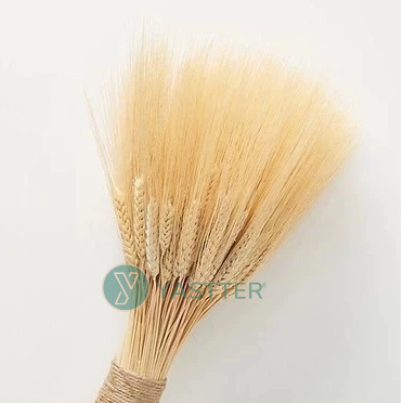 120 Hastes de Trigo Seco para Decoração - Arranjos, Flores Desidratadas e Vaso Decorativo