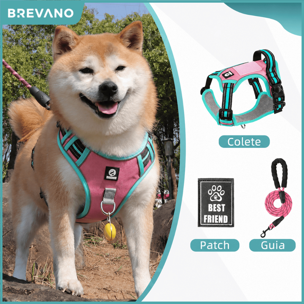Kit Completo Peitoral para Cachorro + Guia Reforçada 1,5m + Patch | Ajustável e Refletivo