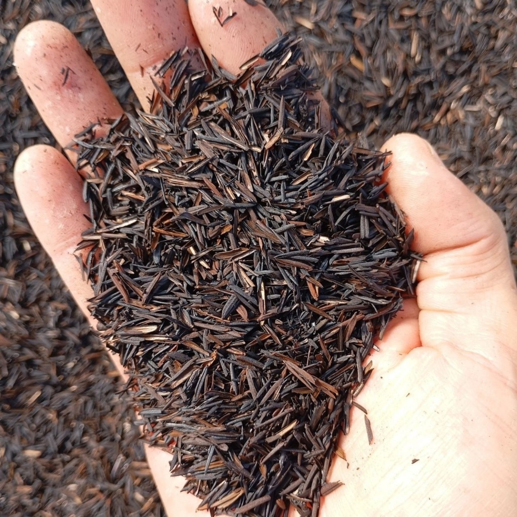Casca de Arroz Carbonizada Premium Plantas Lindas e Fortes