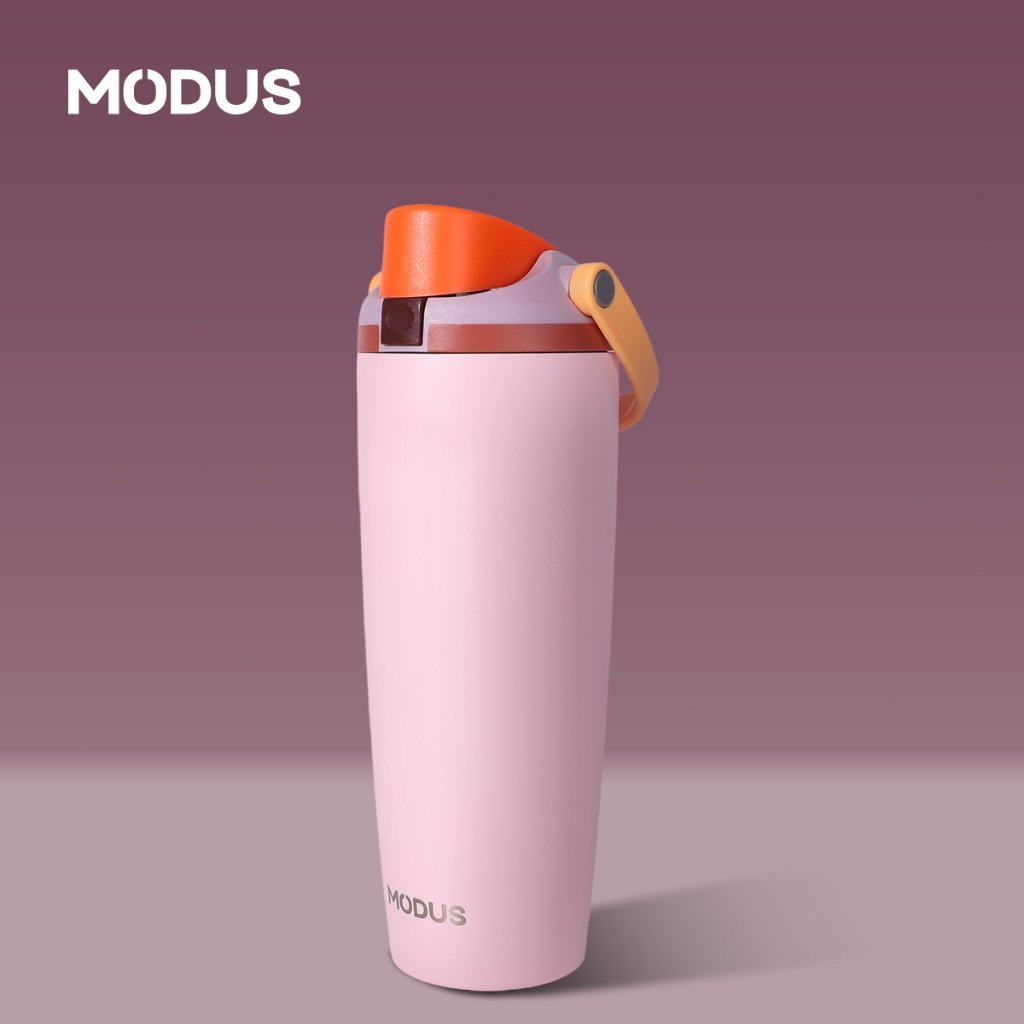 MODUS Garrafa Térmica 900ml Inox com Canudo 2 em 1, Garrafa de Água com Isolamento Térmico, Alça e Tampa Antivazamento