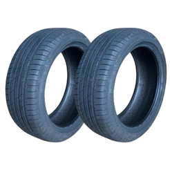 Kit 2 Pneu Delinte Aro 17 205/55r17 95w Ds2