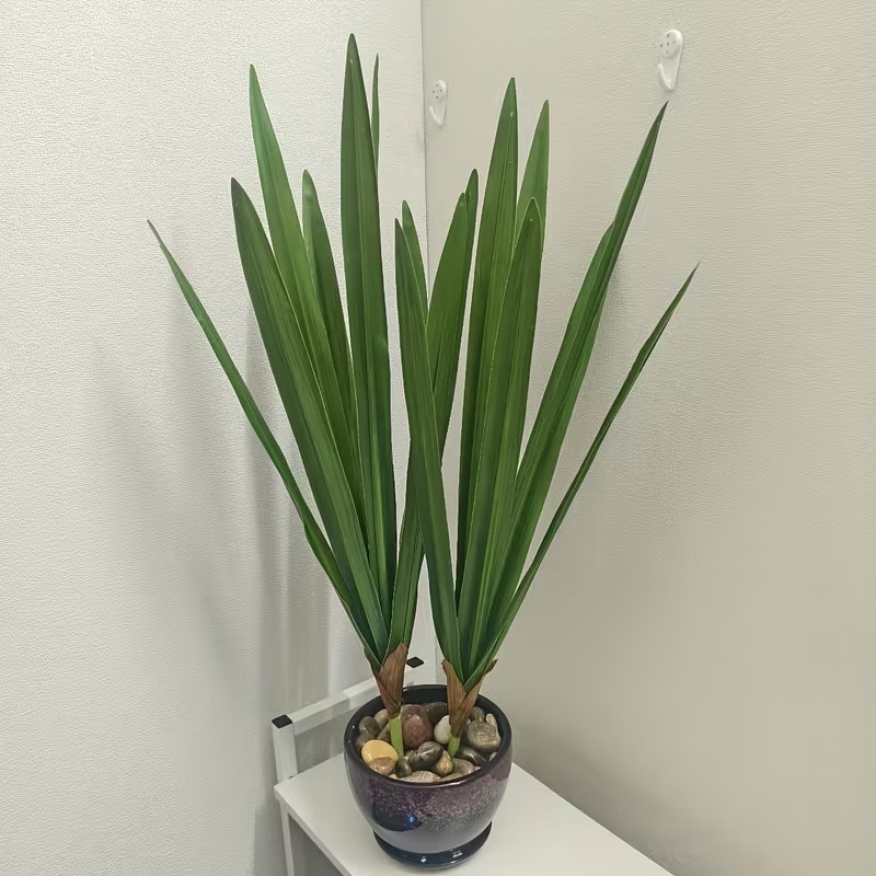 Folha de Orquídea 60cm Comprida Folha Verde Complemento para arranjos - ZH801667 em Oferta na Shopee