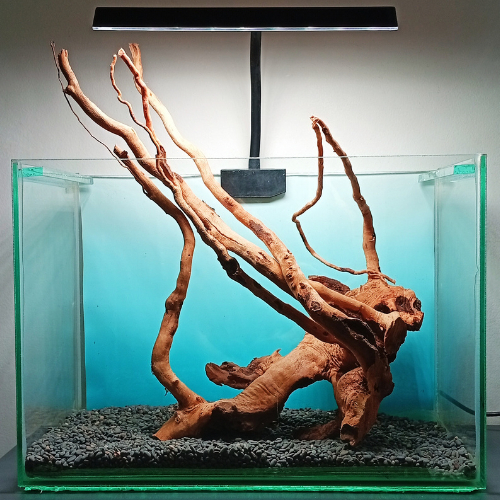 Raiz Tronco Natural  20 a 30 cm Enfeites para Aquário e Lagos - Artigos para aquário
