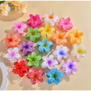 Grampos Piranha Kits 12/24/36/48 Peças De Cabelo Flor De Feriado De Praia Barrettes/6cm em Oferta na Shopee