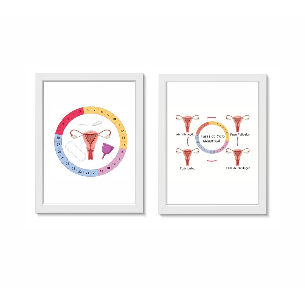 Kit 2 Quadros Decorativos Ciclo Menstrual Ginecologia Medicina Molduras 20x30cm Madeira Vidro