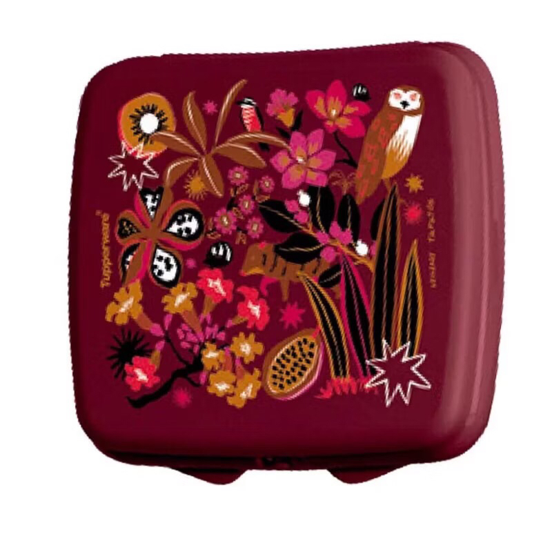 vários modelos Tupperware porta lanche sanduíche Vários modelos