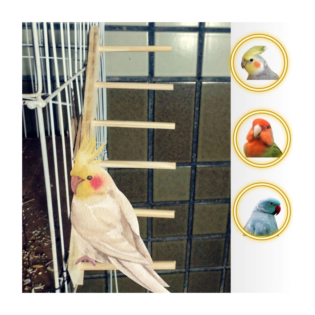 Brinquedos Para Calopsita Escada Suspensa Com Fixador Gaiola Galopsitas Agapornes Periquito Rinq Nek birds