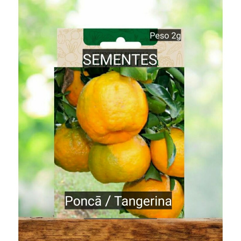 Kit Sementes POKAN / TANGERINA  plante vaso horta terra adubo OFERTA