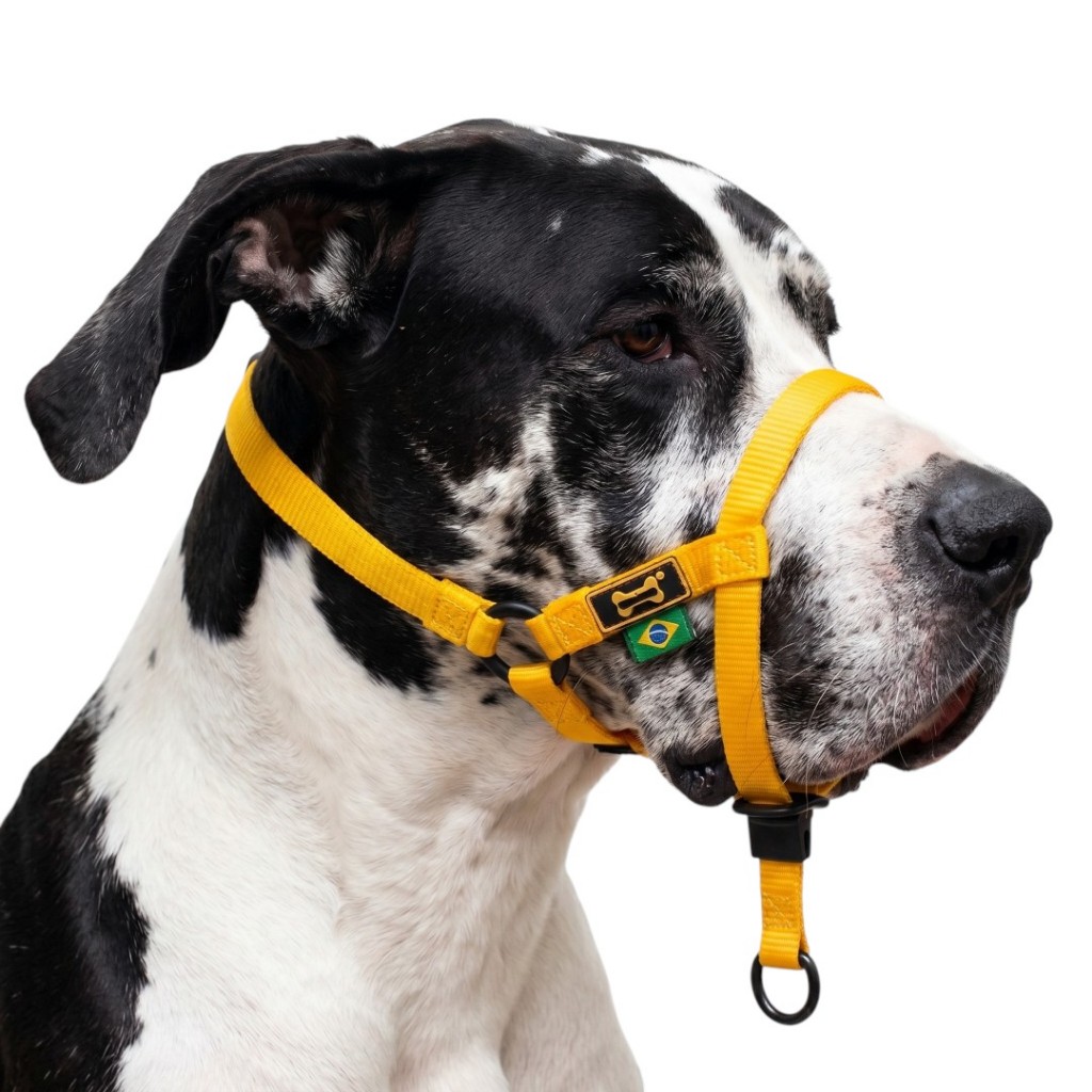Coleira Cabresto Halti Amarela Adestramento Labrador Dalmata Pitbull Dobermann Rottweiler Pastor K9