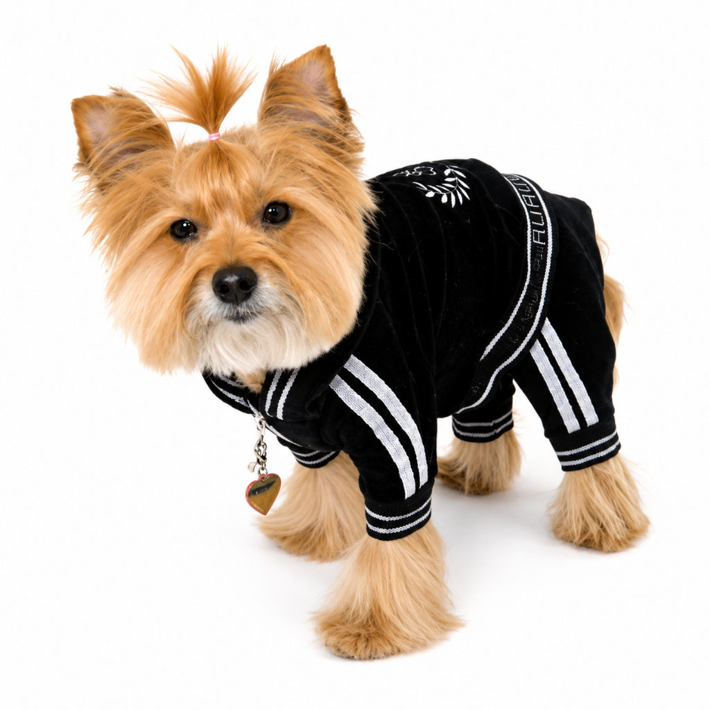 MACACÃO TRAINING DE INVERNO PARA CACHORRO – ROUPA PET QUENTINHA, CONFORTÁVEL E COM ZIPER TOTAL