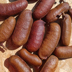 FRUTO JATOBÁ NOVO 7 UNIDADES APROXIMADAMENTE 500G