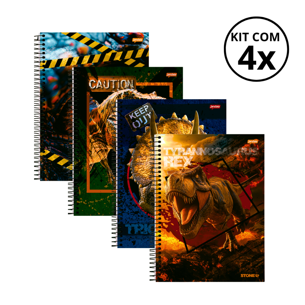 Kit Com 04 Cadernos 01 Matéria Universitário 80 Folhas Stone - Jandaia