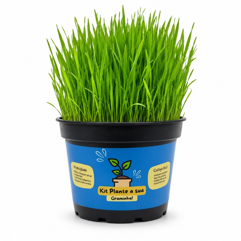 Graminha para Gatos Kit para Plantar em Casa com Vaso Terra Semente Petisco Natural Saudável Felinos