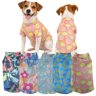 Roupa Pet Proteção Solar UV 50 cachorro e gato