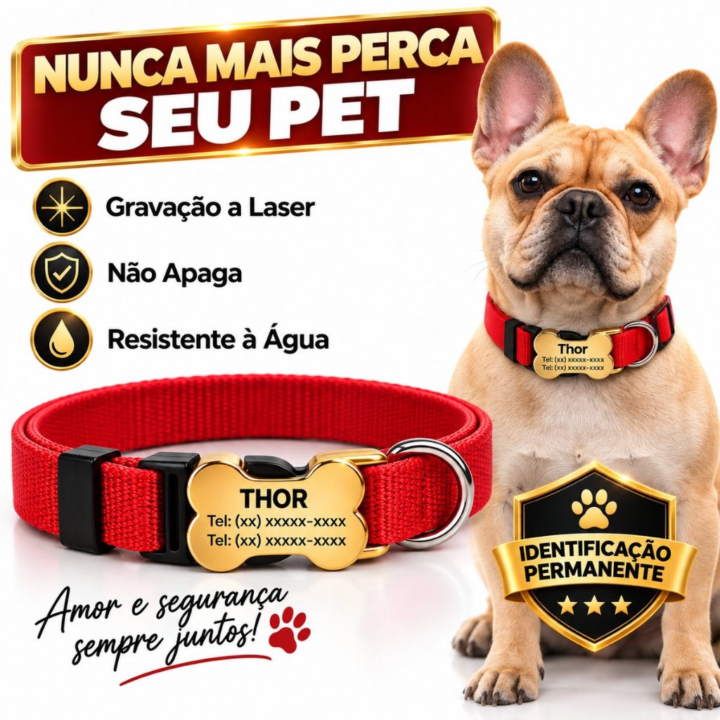 Coleira Para Cachorro Personalizada no Fecho - Não Incomoda - P/M/G Identificação Nome e Telefone