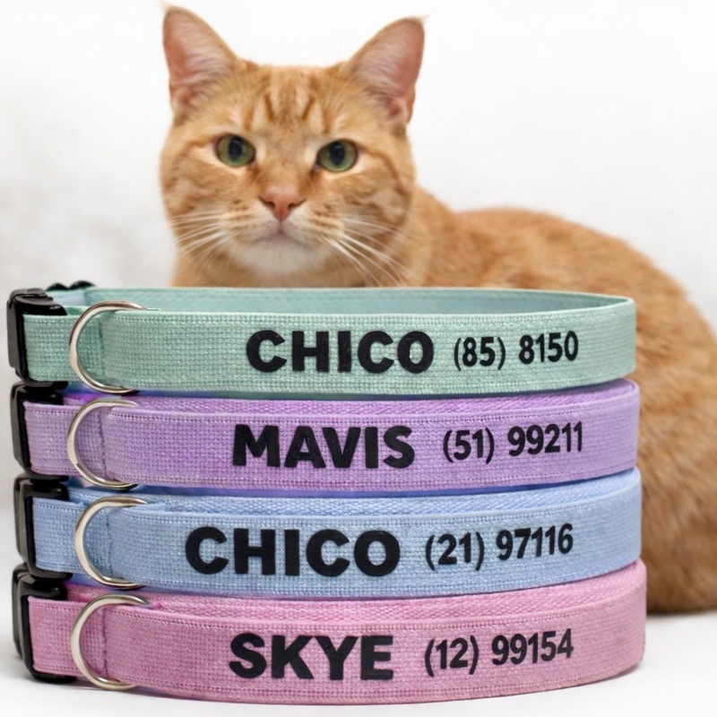 Coleira gato- Coleira identificação gato- Coleira elástica para gatos