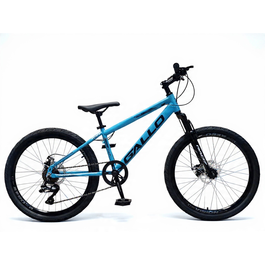 Bicicleta Aro 24 Alumínio 7v Suspensão Freio A Disco Gallo