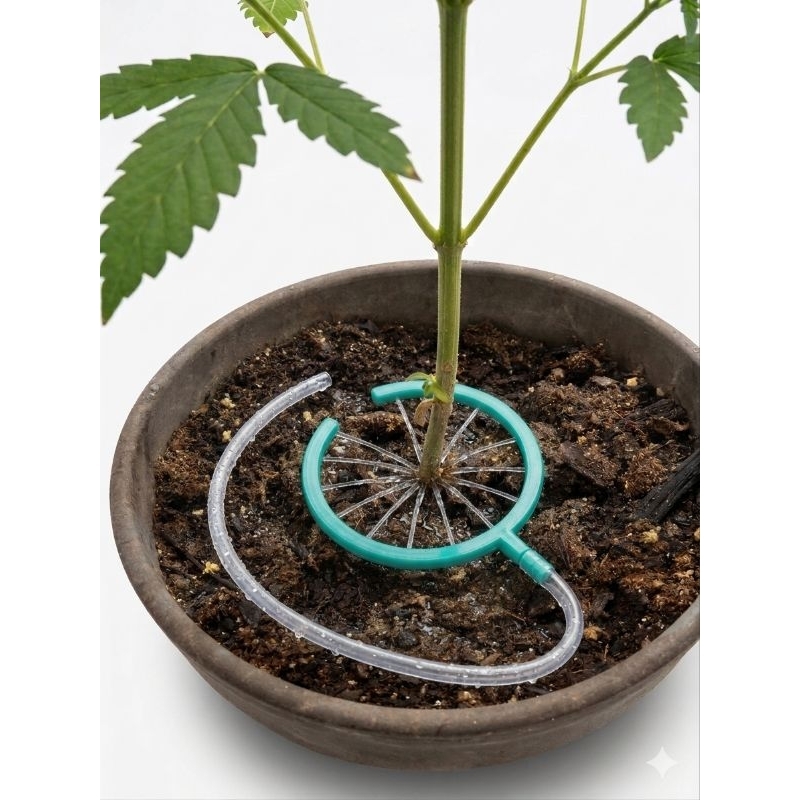 Anel de Irrigação de Plantas Erva, Grows Indoor ou Outdoor