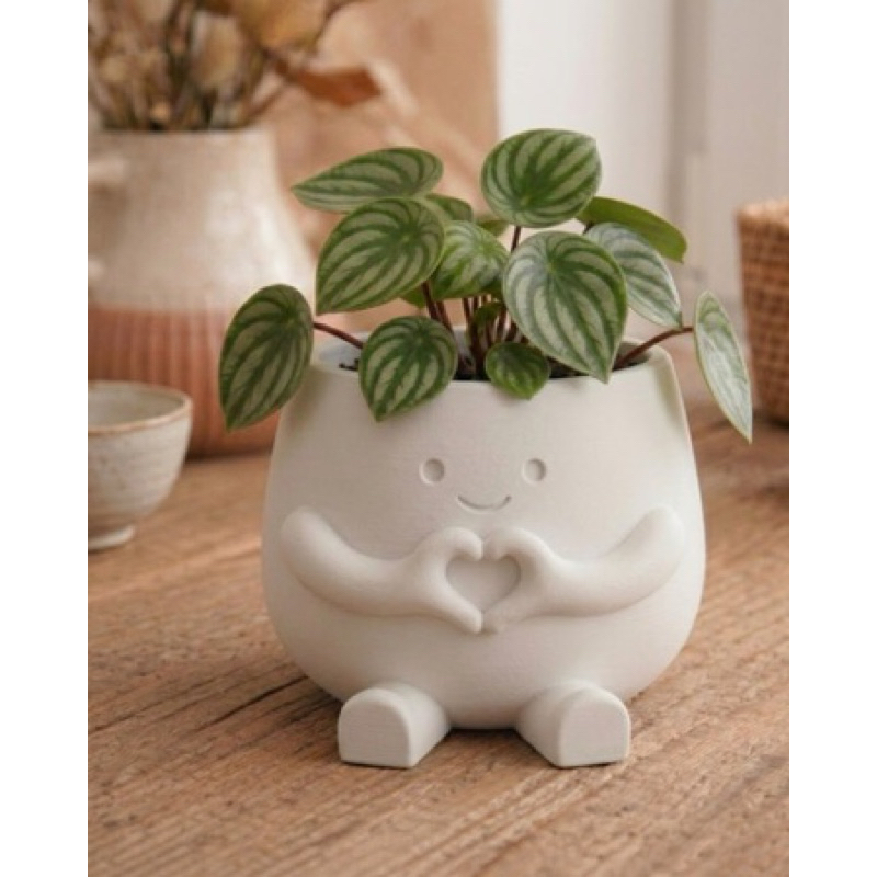 Vasinho De Planta Decorativo Suculenta Com Carinha Boneco Mão Coração Vaso De Flores Criativo Cachepot Enfeite Casa Mesa