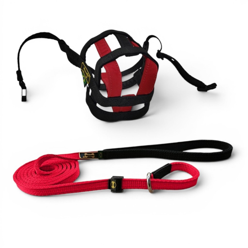 Kit Focinheira + Guia Unificada Vermelha Resistente Amorosso Pitbull Cane Corso Bullmastiff Fila Cão