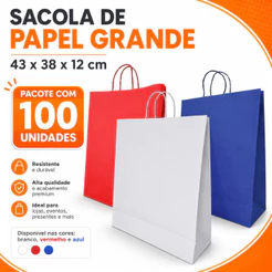 Sacola de Papel Colorida Grande 43x38x12 cm | Alça Torcida 100 Un