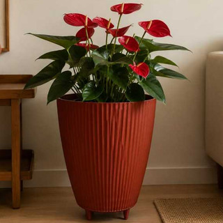 vaso para planta canelado com pé/34x26x25 Decorativo e resistente