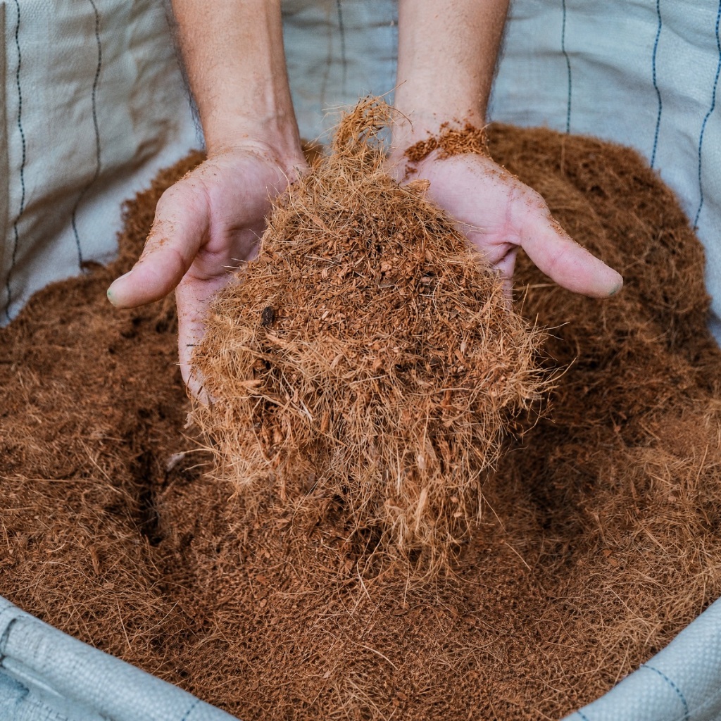 Fibrinha de Coco Sem Lavar 6L Substrato Natural para Orquídea Suculenta Cacto Jardim Plantas Ornamentais