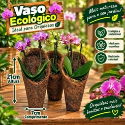 KIT 3 CACHEPOT DE FIBRA DE COCO modelo CONE CONCHA M Excelente para Orquídeas