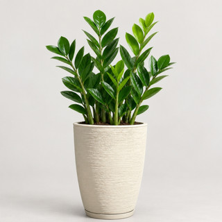Vaso para Plantas Decorativo em Polietileno Coluna Bojo Escovado C/ Prato Coletor N2