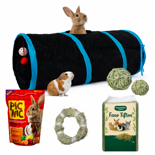 Kit Brinquedos Para Coelhos Porquinhos Da India Com Túnel Petiscos e Brinquedos