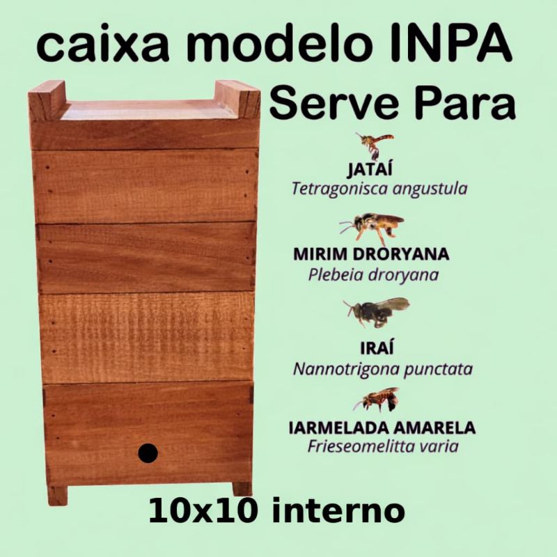 Caixa Para Abelhas Jataí + 100 ML ATRATIVO, Caixa 10x10 Interno, Madeira de Pinus, Jatái, Mirim, ASF Com 2 Melgueiras