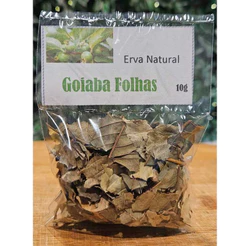 Folha de Goiabeira - Erva natural