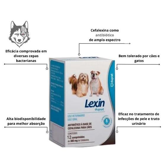 Lexin 300mg Com 24 Comprimidos Cefalexina Cães 300 mg — imagem 2 de 2