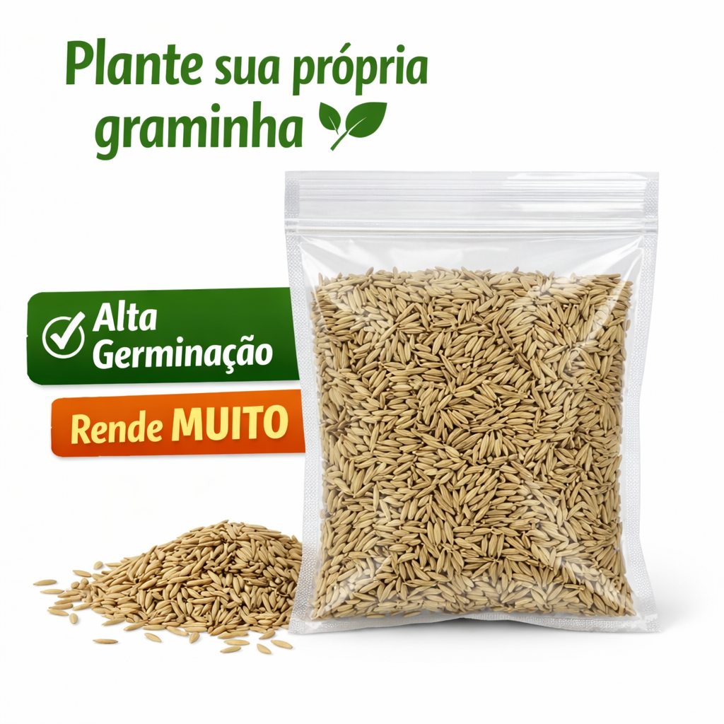 Sementes Haiglas Premium para Gatos 20g | Cultivo Fácil em Casa | Alta Germinação