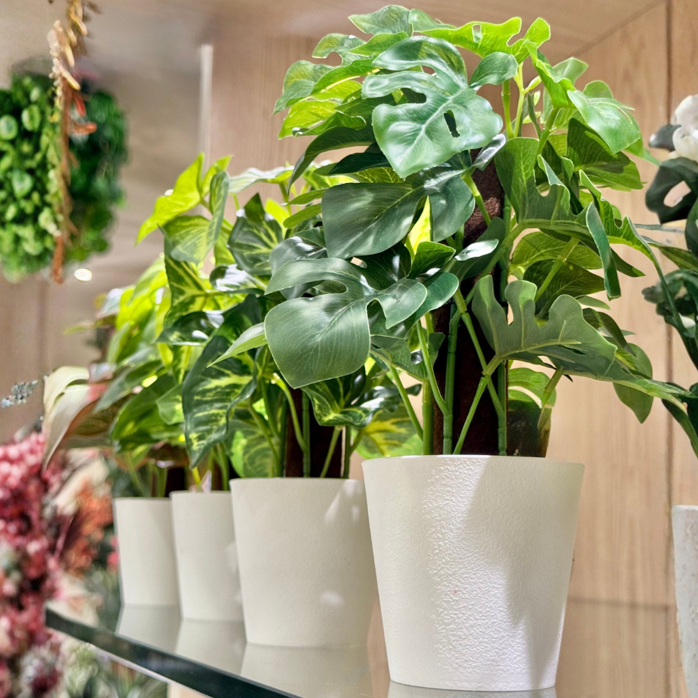 Planta Artificial Vaso Toque Real Decorativa Zamioculca, Orelha de Gato, Jibóia, Costela de Adão, Guaimbê, Nervura 16x24 em Oferta na Shopee