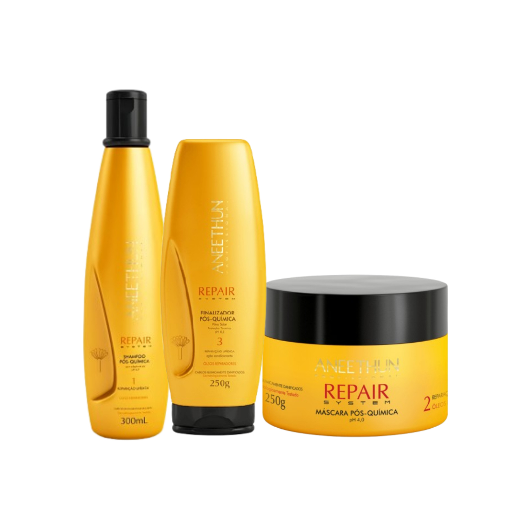 Kit Aneethun Repair System - Shampoo 300ml , Máscara 250ml e Finalizador 250g