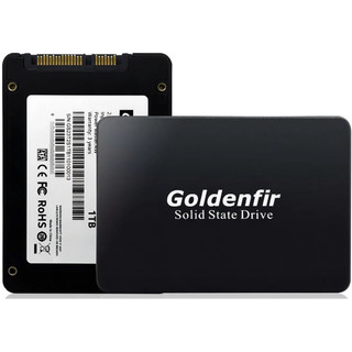 Ssd 2.5 Goldenfir 512gb Sata