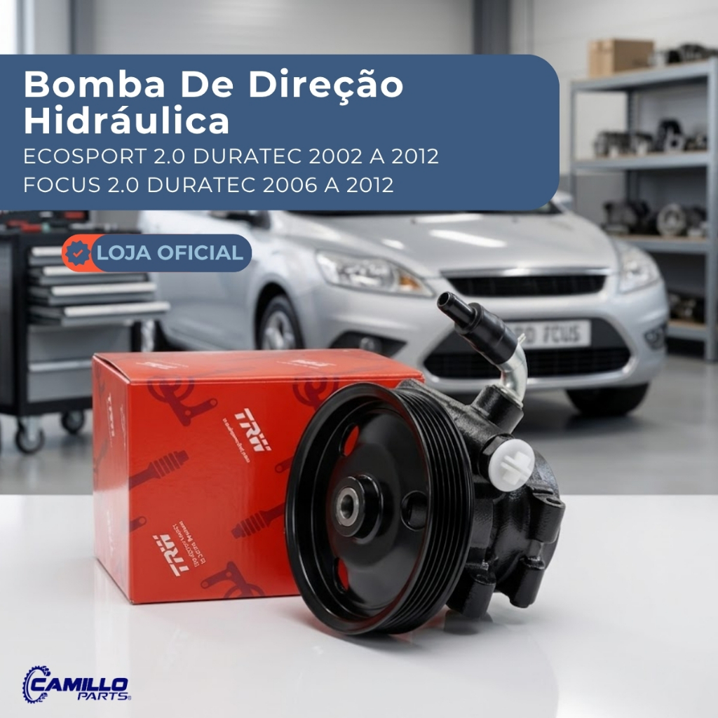 Bomba Direção Hidráulica Trw Focus 2.0 2006 a 2012 Ecosport 2.0 2002 A 2012