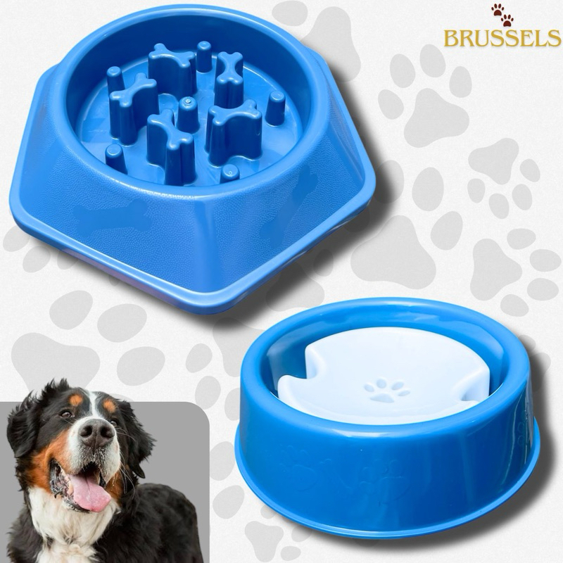 Kit Pet Comedouro Lento + Bebedouro Anti‑Molho Para Cães de Pelos Longos – Interativo e Educativo Pote Cachorro