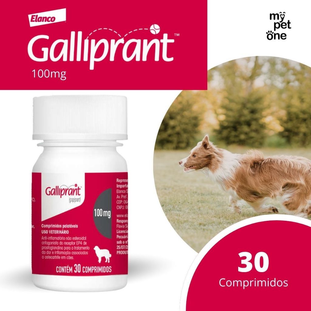 Galliprant 100 mg Elanco para Cães - 30 Comprimidos