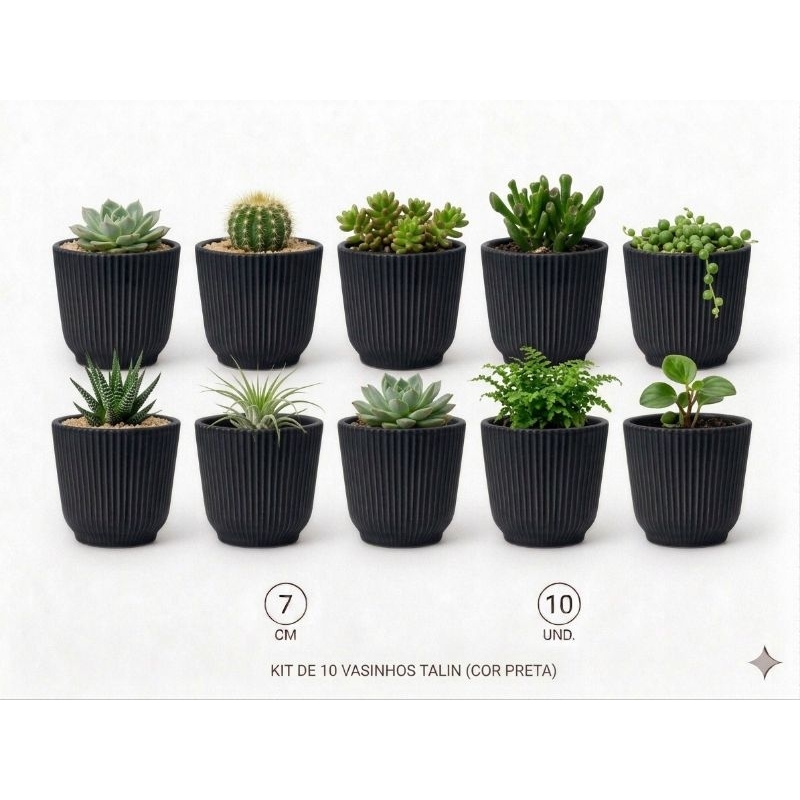 Kit 10 Vasos Talim N7 Pequeno para Suculentas Cactos Mudas Decorativo Colorido Jardim Casa