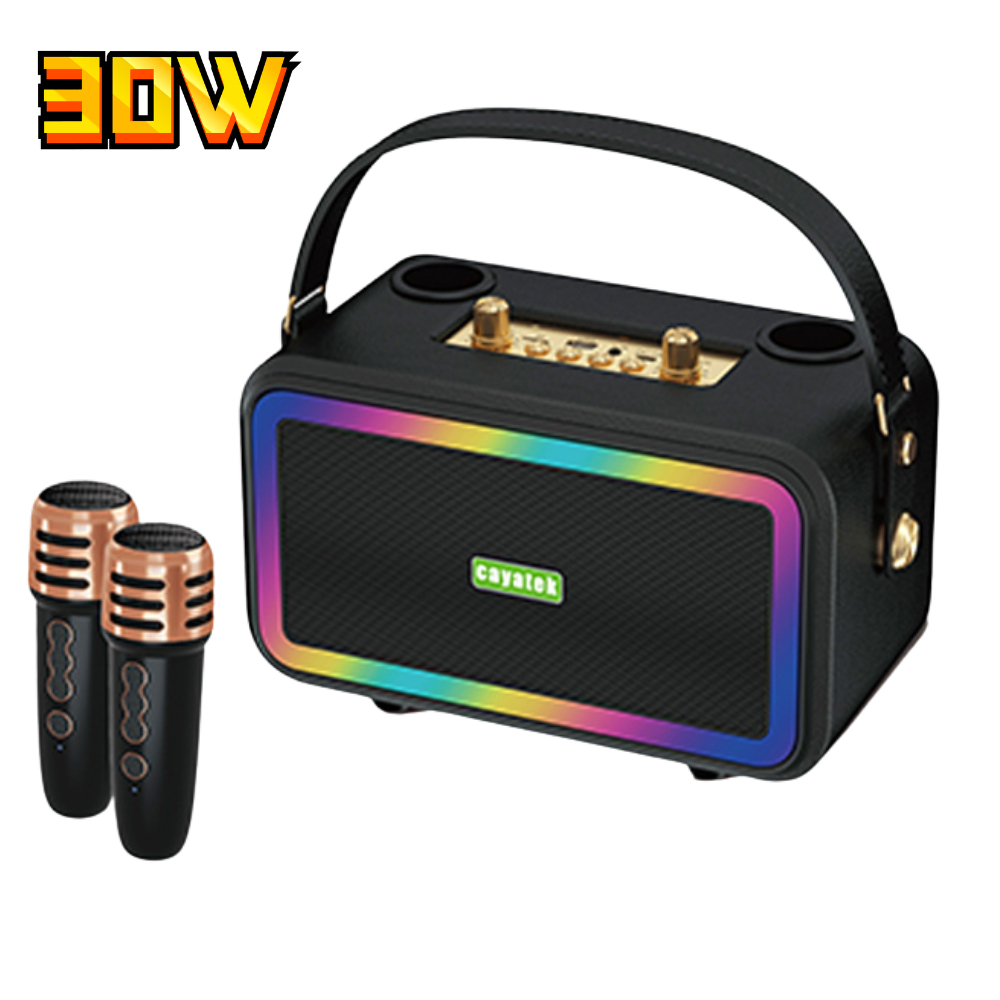 Caixa De Som Função Karaokê 30w Com 2 Microfones Sem Fio Portátil Conexão Bluetooth Amplificado Usb C