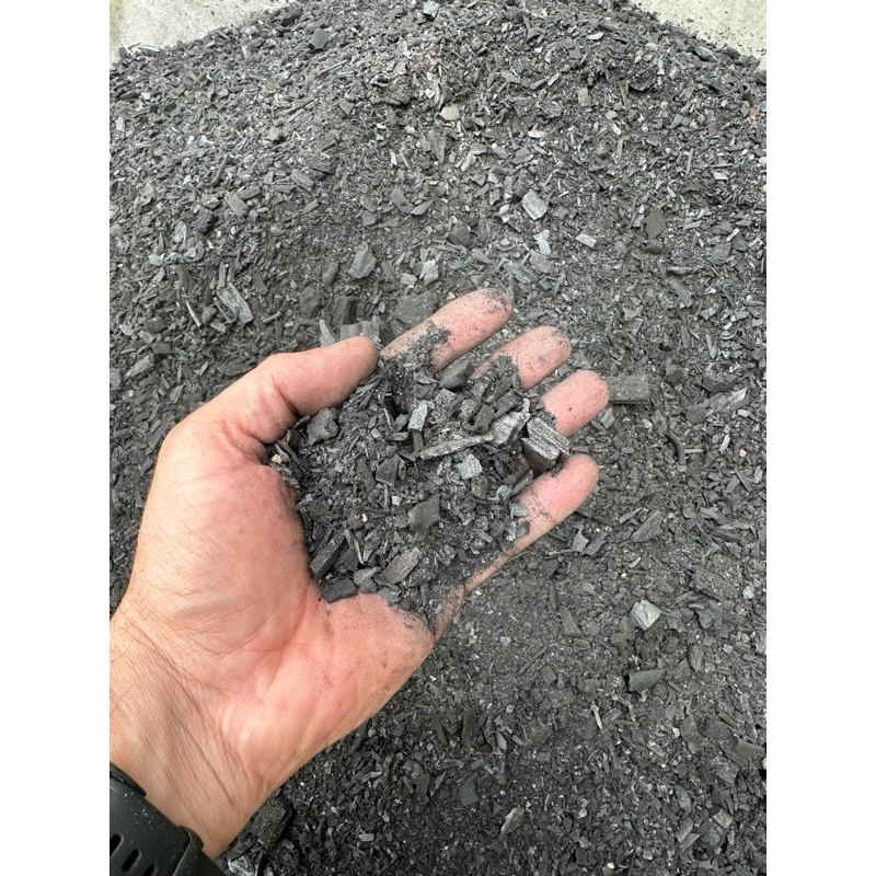 5 Litros de Carvão para substrato de plantas cactos suculentas em geral