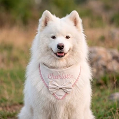 Bandana pet femêa nome bordado com detalhe rose renda luxo premium para cachorros pequenos e grandes