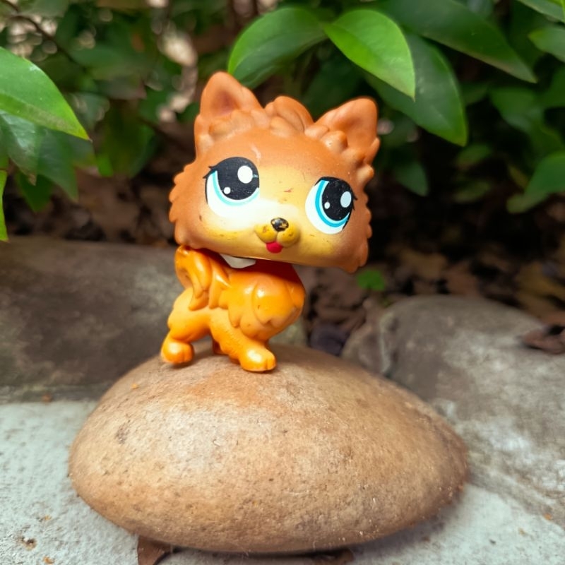 Littlest Pet Shop Lulu da Pomerânia