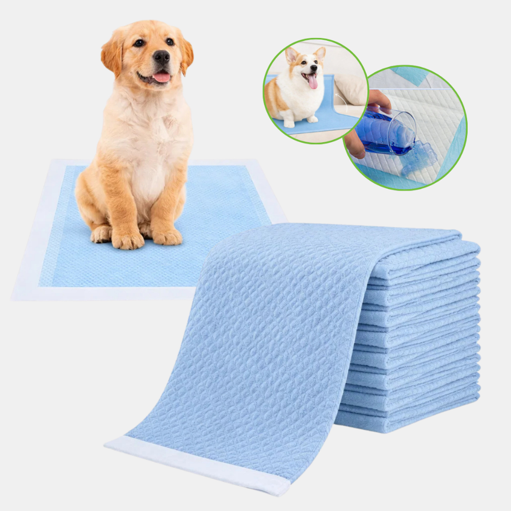 Tapete Higiênico Para Pet 60x60cm Cães Gatos Fraldas Descartável