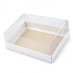 10 Caixas com Tampa Acetato para Presentes, Artesanatos 21x15x7,5 cm - Branco Duplex